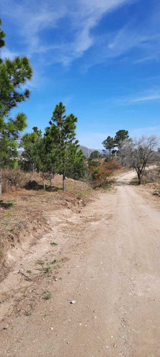 Imagen 6 de 13 de 524.hermoso Lote En Villa Ciudad De América, En Zona Alta