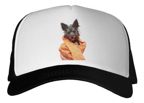 Gorra Perro Yorkshire Baño Mojado