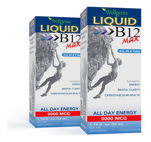 Wellgenix Liquido B12 Max  Vitamina B6, B12 Y Acido Folico 