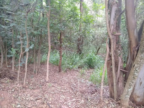Imagem 6 de 15 de Terreno À Venda Em Joaquim Egídio - Te028079