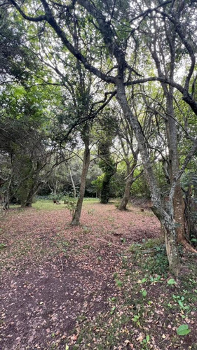 Casa En Venta - 2 Dormitorios 2 Baños - 2.000mts2 - Punta Indio