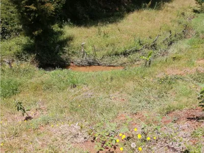 Lote y casalote en venta