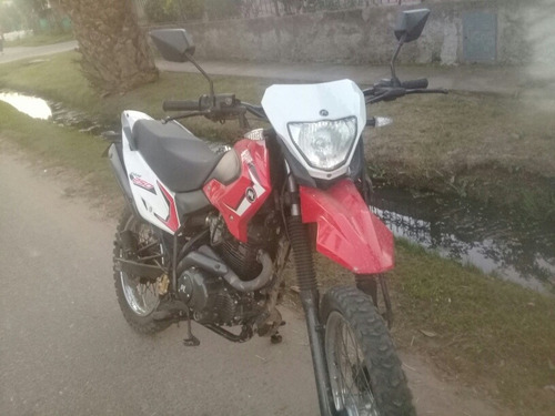 Motomel Skua