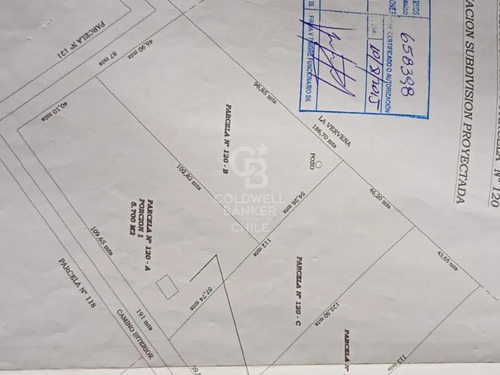 Parcela La Cruz Inversión Paltos En Proceso Productivo