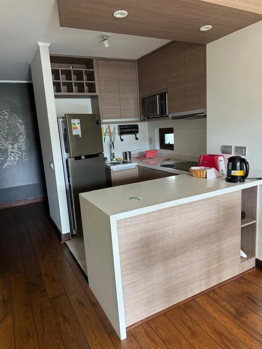 Imagen 2 de 18 de Depto 4 D Condominio Pinares Con Acceso Al Lago Y Marina
