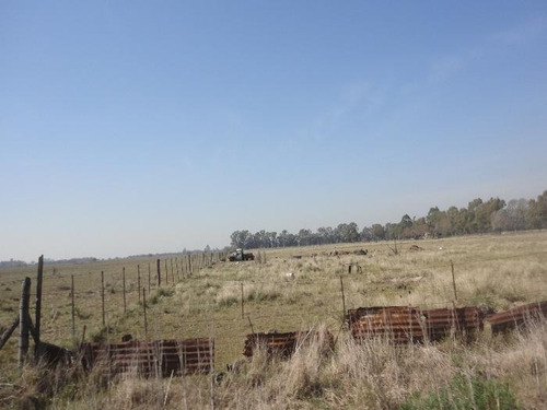 Imagen 11 de 21 de Terreno - La Plata