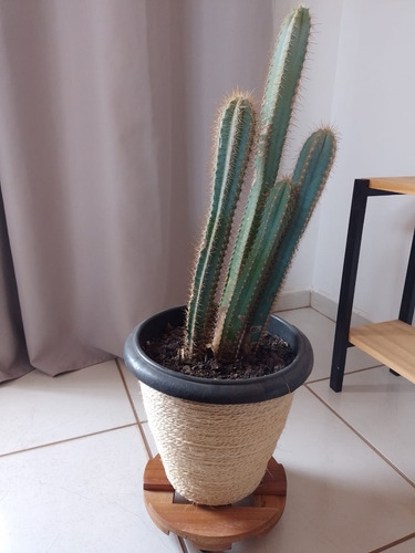 Suporte Para Vaso De Planta Redondo Com Rodinhas 35 Cm Marrom-claro Lisa