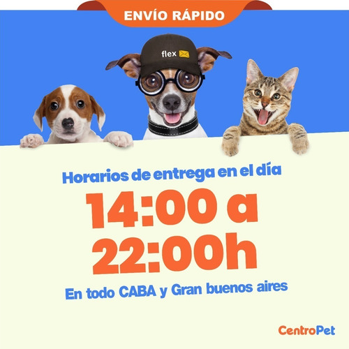 Imagen 8 de 10 de Litera Arena Chinchilla Baño Roedores Jerbos Hamster Wellnes