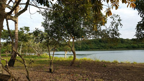 Venta Terreno 4,277 M² Juana Moza Frente Al Rio Tuxpan Veracruz