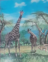 Comprar 20 Puzzles 48  Piezas Animales Niños 4 A 7 Años - T Virtual