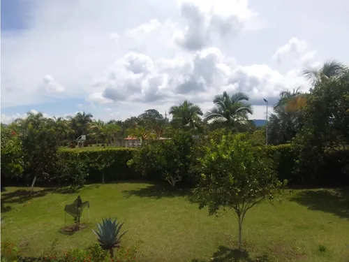 Venta Finca Productiva Montenegro Pueblo Tapao - 11 Cuadras