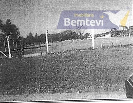 Imagem 2 de 3 de *grande Oportunidade! - Te0149