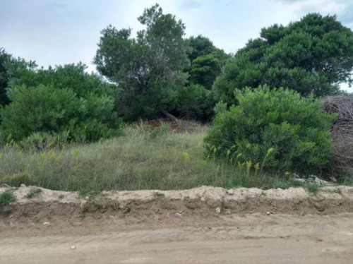 Terreno En Venta - 15x33,75 - 562mts2 - Coronel Dorrego