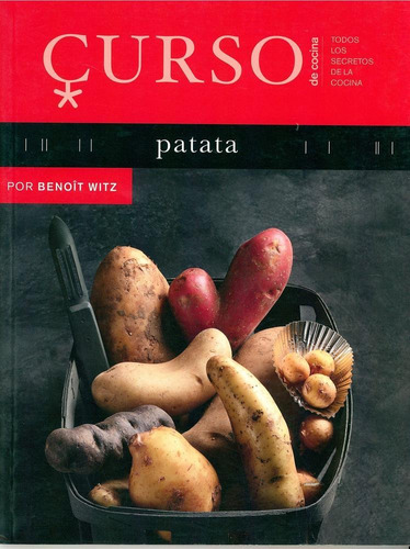 CURSO DE COCINA: PATATA, de Witz, Benoit. Editorial Akal, tapa pasta blanda en español, 2013