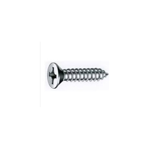 Tornillo Parker Cabeza Fresada Combinada 6x1/2 - 250 Unid