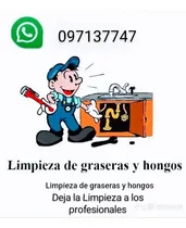 Comprar Limpieza De Graseras Sanitaria-24hs-097137747