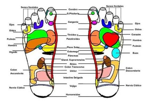 Plantilla Soporte Magnéticas Reflexología Terapia Imanes