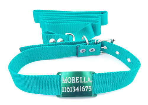 Chapita Perros Pasador Verde + Collar + Correa Verde De 3cm 