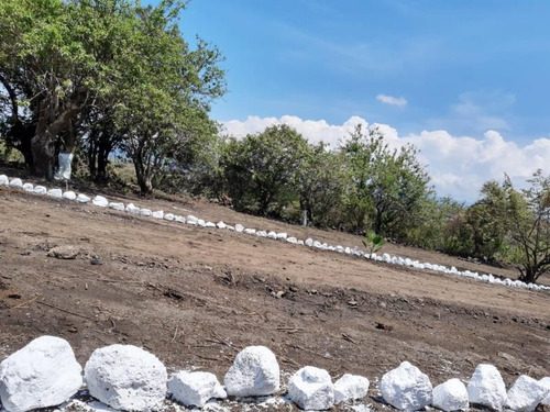 Imagen 2 de 10 de Terreno En Venta San Juan Texcalpan
