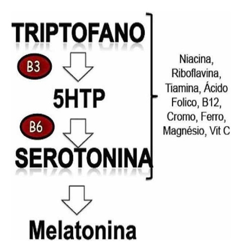 Triptofano Auxílio De Sono Bem Estar Humor 60 Caps Melcoprol Sabor Sem sabor
