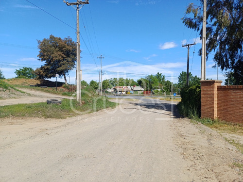 Terreno Agrícola De 20 Há En Ribera Del Río Lircay Talca