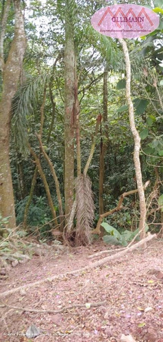 Chácara Para Venda Em Ribeirão Pires, Pilar Velho - 000333333_2-1163334