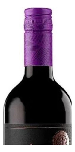 Pack De 6 Vino Tinto Viña Santiago Malbec 750 Ml