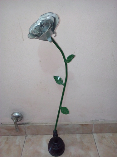 Planta De Rosas