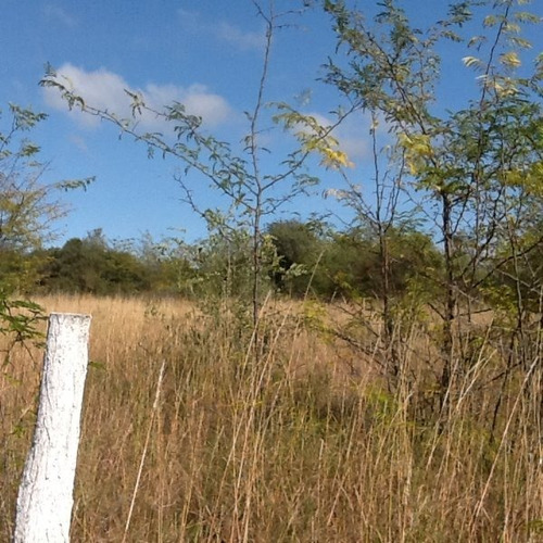 Imagen 2 de 3 de Venta De Lote En Villa Gral. Belgrano