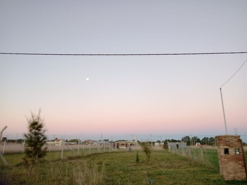 Imagen 3 de 3 de Terreno En Venta En Máximo Paz