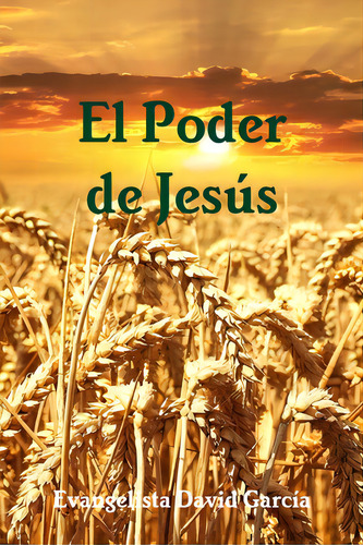El Poder De Jesãâºs, De García, David. Editorial Lulu Pr, Tapa Blanda En Español