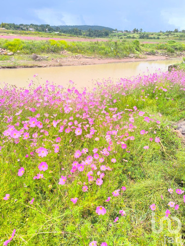 Venta Terreno 0 Ambiente San Pedro Tenango