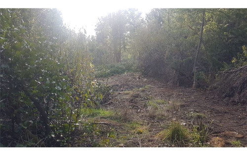 Lote 7,9 Ha Lago Puelo Increíbles Vistas