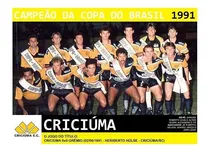 Comprar Quadro 20x30 Cu002F Moldura: Criciúma Campeão Da Copa Do Br 1991