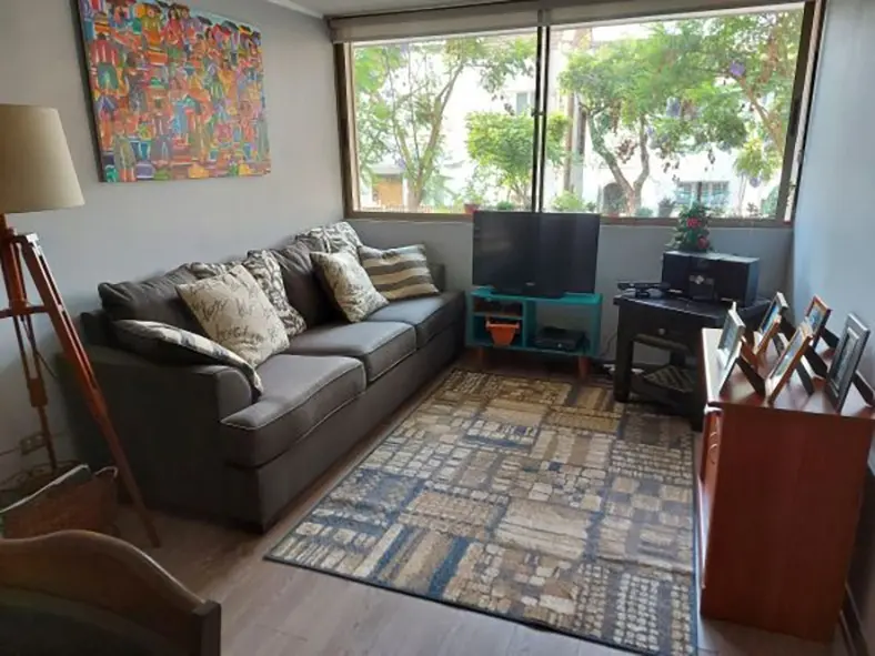 Imagen 3 de 21 de Departamento En Venta En Santiago