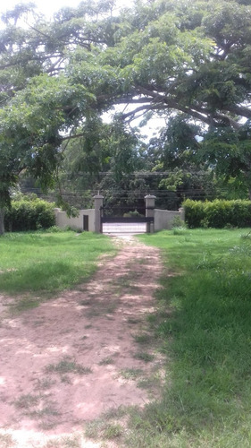 Imagen 16 de 18 de Se Vende Finca 114 Hectáreas Carabobo Bejuma. Cod. 4616212