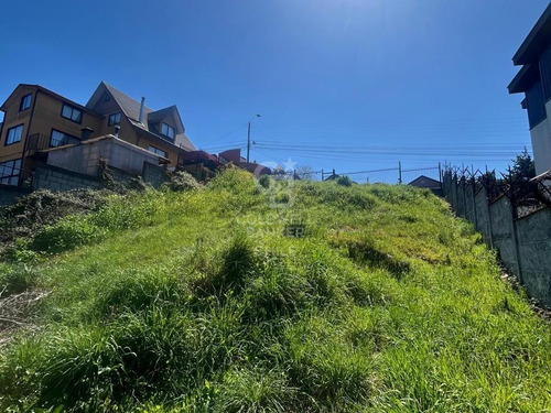 Vista A Concepción Desde Lomas De San Andres