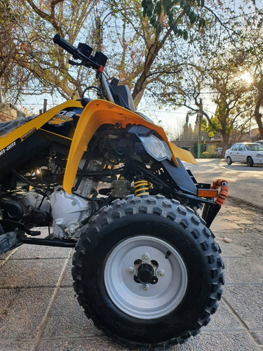 Imagen 2 de 7 de Can Am Ds 250