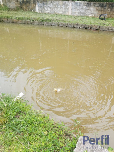 Imagem 13 de 14 de Área Rural - Chácara - 2526