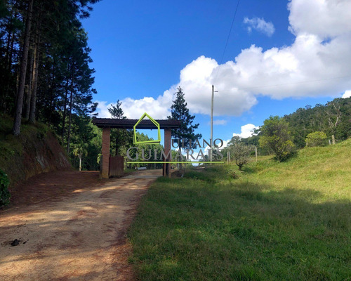 Imagem 17 de 30 de Rancho Queimado Sc - Lindo Terreno Á Venda Com 3 Hectares Em Residencial Fechado - Te00048 - 70795800