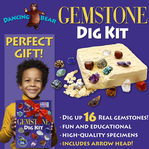 Kit De Excavación Dancing Bear Gem Dig Excavate 16 Gemas Y C