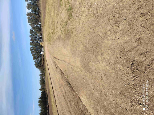 Imagen 6 de 7 de Lote Y Terreno En Venta En Cañuelas 900 M2