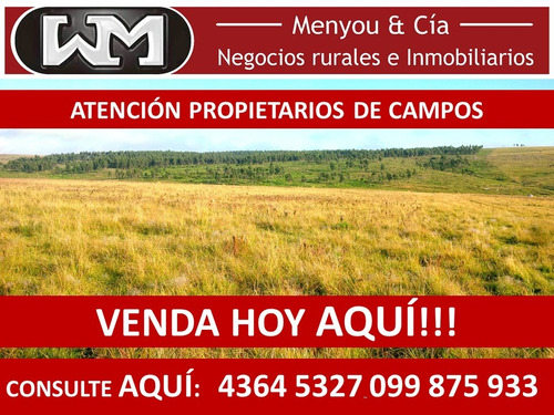 Imagen 7 de 13 de Venta Compra De Campos De 200has A 2500has Forestal Ganadero