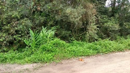 Terreno No Litoral Com 1717 M², Em Itanhaém/sp 6064-pc