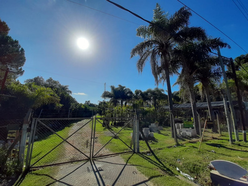 Importante Lote Comercial Con Oficina De 4400 Mt
