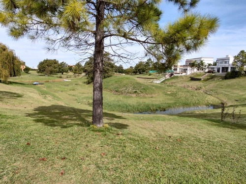 Imagen 6 de 7 de Lote En El Solar De Victoria - 1.100 M2 Con Todos Los Servicios Y Bajada Al Rio !