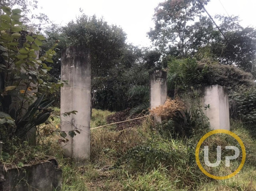 Imagem 6 de 7 de Lote / Terreno Em Saraiva - Betim - 11136