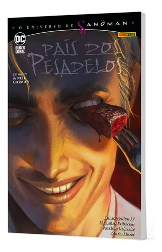 Universo De Sandman: Pais Dos Pesadelo Vol.01, De Yanick Paquette., Vol. 1. Editora Panini, Capa Mole Em Português, 2023