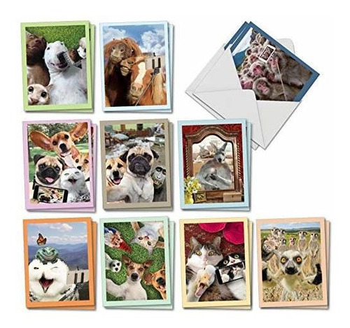 Selfies Animales 20 Tarjetas De Notas En Blanco Surtidos Par