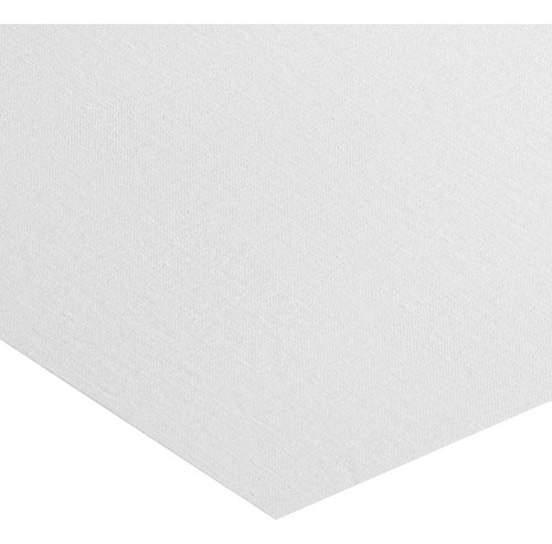 Lienzo Clavel Suave En Tono Rosa Pastel 65x65